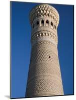 Kalyan Minaret Which Allegedly Awed Genghis Khan-Amar Grover-Mounted Photographic Print