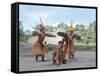Kamayura Indian Fish Dance, Xingu, Brazil, South America-Robin Hanbury-tenison-Framed Stretched Canvas