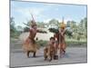 Kamayura Indian Fish Dance, Xingu, Brazil, South America-Robin Hanbury-tenison-Mounted Photographic Print