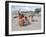 Kamayura Indians Dancing the Fish Dance, Xingu, Brazil, South America-Robin Hanbury-tenison-Framed Photographic Print