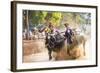 Kambala, Traditional Buffalo Racing, Kerala, India-Peter Adams-Framed Photographic Print