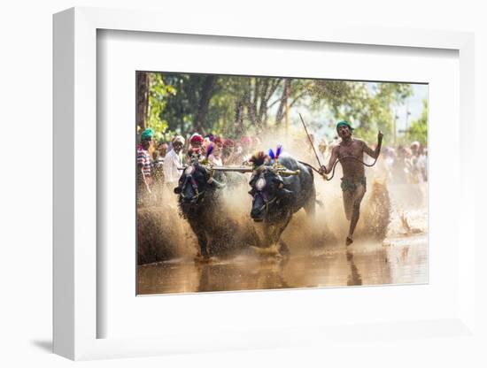 Kambala, Traditional Buffalo Racing, Kerala, India-Peter Adams-Framed Photographic Print