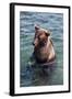 Kamchatka Brown Bear (Ursus Arctos Beringianus), Kurile Lake, Kamchatka, Russia, Eurasia-Michael-Framed Photographic Print