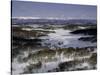 Kamchatka Landscape, Russia-Michael Brown-Stretched Canvas