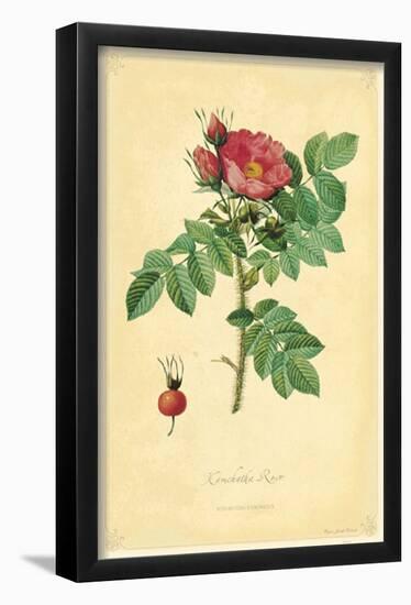 Kamchatka Rose-null-Framed Poster