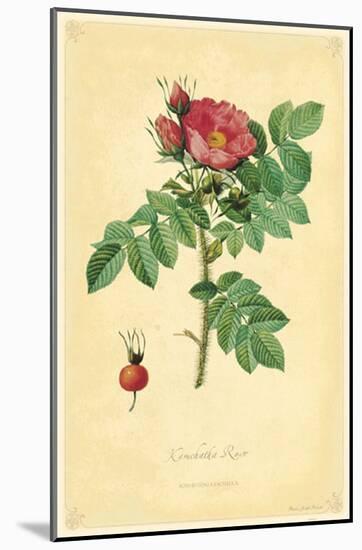 Kamchatka Rose-null-Mounted Poster