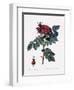 Kamchatka Rose-Pierre Joseph Redoute-Framed Giclee Print