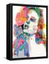 Framed Canvas