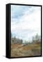 Canvas Black