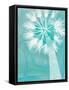 Framed Canvas