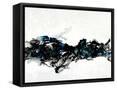 Framed Canvas