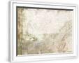 Chelsea White