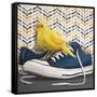 Canvas Black