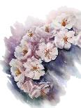 Watercolor Cherry Blossom. Flower Painting. Vector EPS 10.-Kamenuka-Art Print