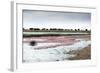 Kamfers Dam, a Large Pan North Kimberley, an Important Wetland-Louise Murray-Framed Photographic Print