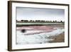 Kamfers Dam, a Large Pan North Kimberley, an Important Wetland-Louise Murray-Framed Photographic Print