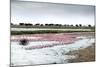 Kamfers Dam, a Large Pan North Kimberley, an Important Wetland-Louise Murray-Mounted Photographic Print