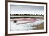 Kamfers Dam, a Large Pan North Kimberley, an Important Wetland-Louise Murray-Framed Photographic Print