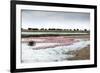 Kamfers Dam, a Large Pan North Kimberley, an Important Wetland-Louise Murray-Framed Photographic Print