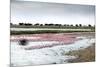 Kamfers Dam, a Large Pan North Kimberley, an Important Wetland-Louise Murray-Mounted Photographic Print