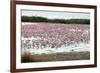 Kamfers Dam, a Large Pan North Kimberley, an Important Wetland-Louise Murray-Framed Photographic Print