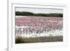 Kamfers Dam, a Large Pan North Kimberley, an Important Wetland-Louise Murray-Framed Photographic Print