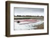 Kamfers Dam, a Large Pan North Kimberley, an Important Wetland-Louise Murray-Framed Photographic Print