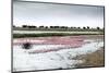 Kamfers Dam, a Large Pan North Kimberley, an Important Wetland-Louise Murray-Mounted Photographic Print