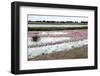 Kamfers Dam, a Large Pan North Kimberley, an Important Wetland-Louise Murray-Framed Photographic Print