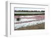 Kamfers Dam, a Large Pan North Kimberley, an Important Wetland-Louise Murray-Framed Photographic Print