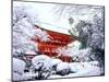 Kamigamo Shrine in Snow, Kyoto, Japan-null-Mounted Premium Photographic Print