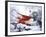 Kamigamo Shrine in Snow, Kyoto, Japan-null-Framed Photographic Print