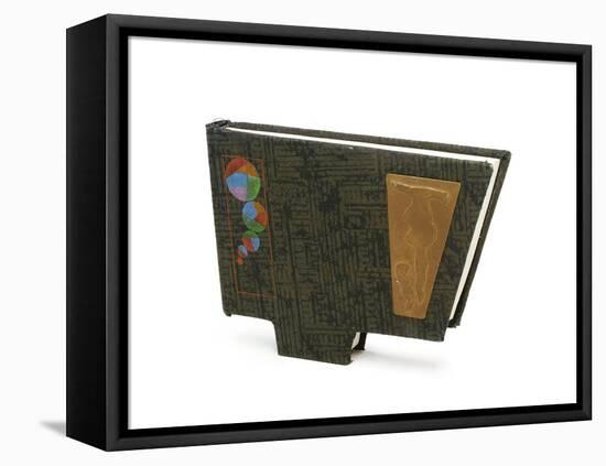 Kamin and Picard's Alien Diary-null-Framed Stretched Canvas