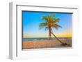 Chelsea White