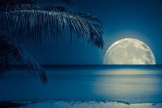 Beautiful Full Moon Reflected on the Calm Water of a Tropical Beach (Toned in Blue)-Kamira-Photographic Print