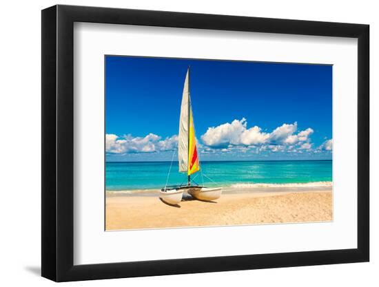 Premium Photographic Print, , large