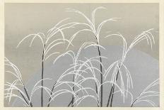 Moon and Grass, 1909 (Colour Woodcut)-Kamisaka Sekka-Giclee Print