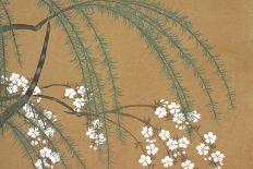 Yanagi Sakura, from Momoyo-Gusa (The World of Things) Vol Ii, Pub.1909 (Colour Block Woodcut)-Kamisaka Sekka-Giclee Print