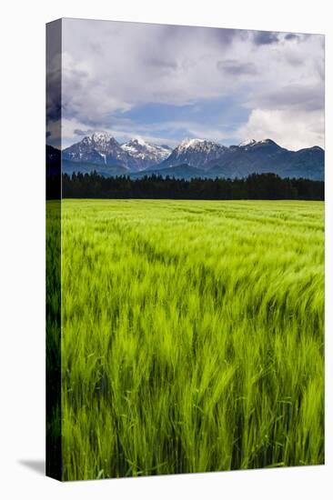 Kamnik Alps Seen from Near Kranj, Slovenia, Europe-Matthew Williams-Ellis-Stretched Canvas