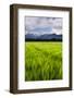 Kamnik Alps Seen from Near Kranj, Slovenia, Europe-Matthew Williams-Ellis-Framed Photographic Print