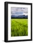 Kamnik Alps Seen from Near Kranj, Slovenia, Europe-Matthew Williams-Ellis-Framed Photographic Print