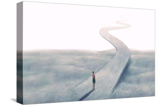 Stretched Canvas Print, , large