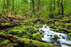 Beautiful Cascade Waterfall in Sol Duc Falls Trail, Olympic National Park, Wa, US-kan_khampanya-Photographic Print