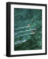 Kanaha Beach, Maui, Hawaii, USA-null-Framed Photographic Print