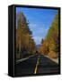 Kancamagus Highway in Autumn-James Randklev-Framed Stretched Canvas