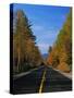 Kancamagus Highway in Autumn-James Randklev-Stretched Canvas