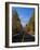 Kancamagus Highway in Autumn-James Randklev-Framed Photographic Print