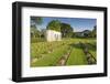 Kanchanaburi War Cemetery, Bangkok, Thailand, Southeast Asia, Asia-Frank Fell-Framed Photographic Print