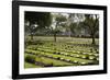 Kanchanaburi War War 2 Cemetery, Kanchanaburi, Central Thailand, Thailand, Southeast Asia, Asia-Stuart Black-Framed Photographic Print