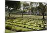 Kanchanaburi War War 2 Cemetery, Kanchanaburi, Central Thailand, Thailand, Southeast Asia, Asia-Stuart Black-Mounted Photographic Print